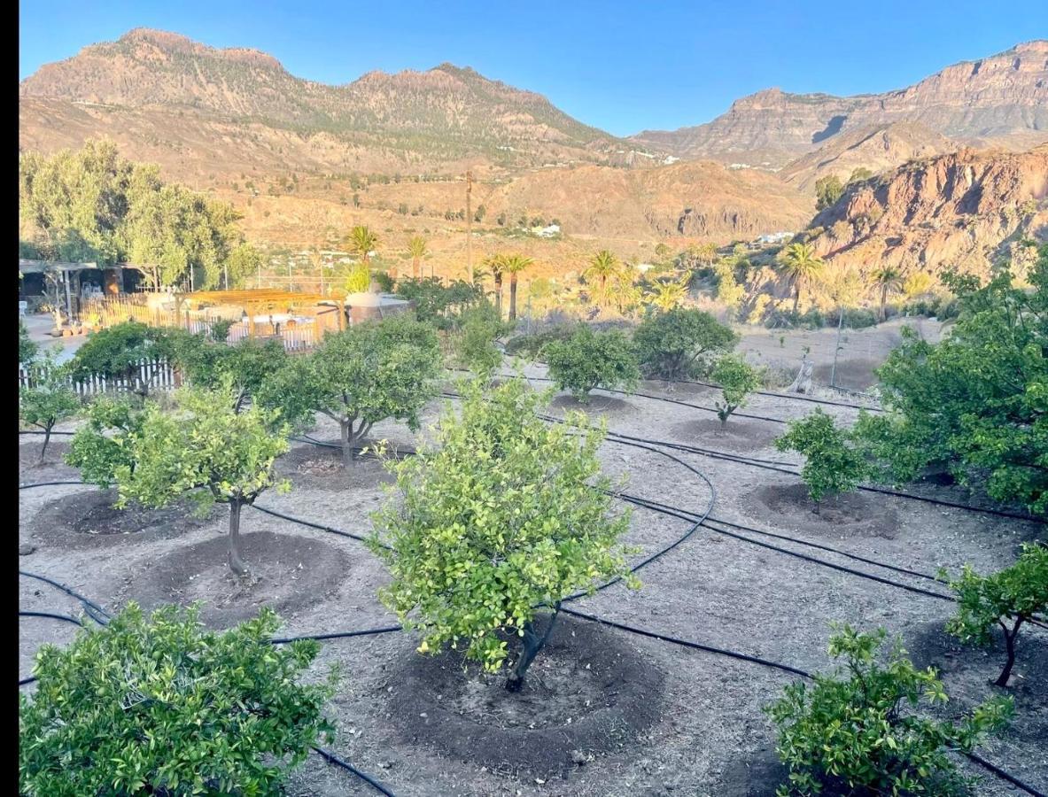 Casa Rural La Limera Con Piscina Privada Santa Lucia Εξωτερικό φωτογραφία